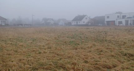 Sundhoffen Maison neuve - 2418073-5767annonce1202602046qyRn.jpeg Maisons BRAND