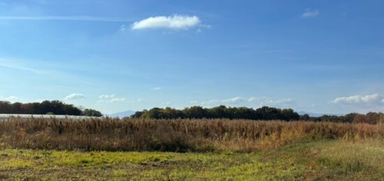 Terrain à bâtir à Bindernheim, Grand Est