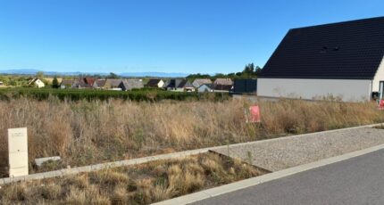 Beblenheim Maison neuve - 2666708-11945annonce220260924BITeU.jpeg Maisons BRAND