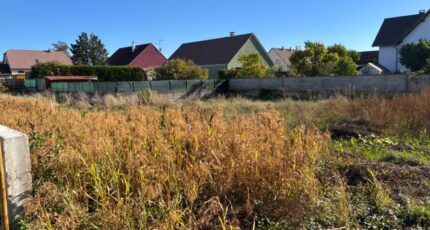 Balgau Maison neuve - 2676175-11945annonce120261014Z4xEx.jpeg Maisons BRAND