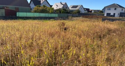 Balgau Maison neuve - 2676094-11945annonce120261014K7vXB.jpeg Maisons BRAND